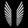 Mercedes Benz Mercedes-Benz G-Class W463A/W464 Premium Side Wing Mirror Puddle Lights Multiple Designs 2018-2025 BRABUS Wings Logo