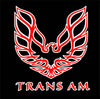 Pontiac Gobo Puddle Lights Custom LED Projectors for Pontiac