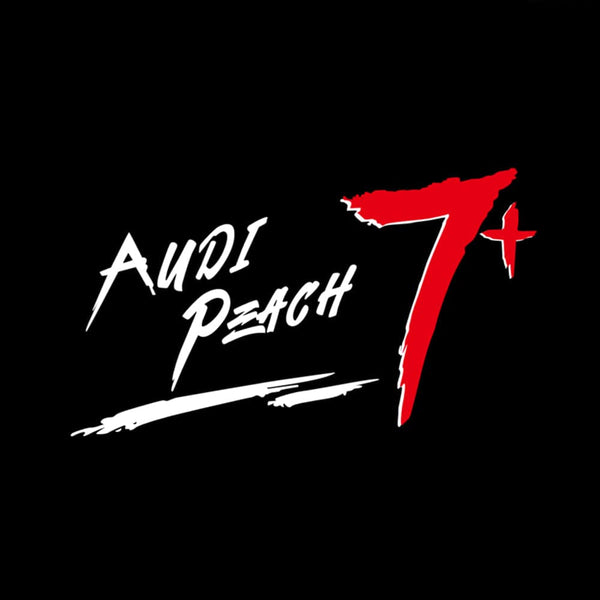 Audi Audi RS e-tron GT Premium Door Puddle Lights Multiple Designs 2020 - 2026