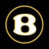 BENTLEY Bentley Flying Spur Dynamic Dual Lens Premium Puddle Lights Multiple Designs 2006-2025