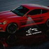 Coyote Logo 2 - 1 Pair 2 Side Mirror Lights