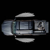 Raptor Wings - 1 Pair 2 Side Mirror Lights