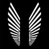 Mercedes Benz Mercedes-Benz G-Class W463A/W464 Premium Side Wing Mirror Puddle Lights Multiple Designs 2018-2025 BRABUS Wings Logo