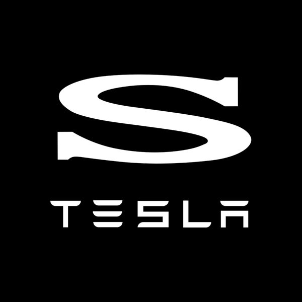 TESLA Tesla Model S Premium Door Puddle Lights Various Designs 2014–2020