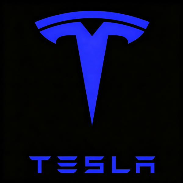 TESLA Tesla Model Y Premium Door Puddle Lights Various Designs 2020–2024