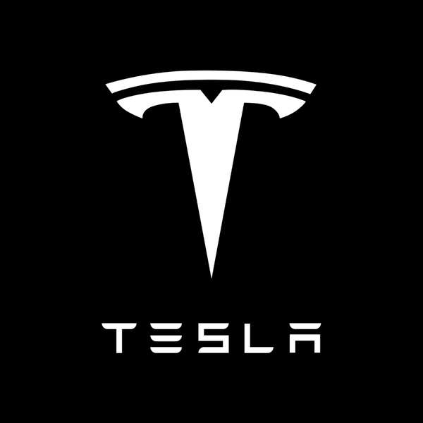TESLA Tesla Model Y Premium Door Puddle Lights Various Designs 2020–2024